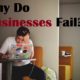 Why do Businesses fail? (info-graphic)